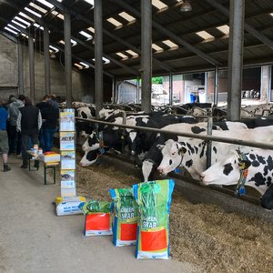 WP_20170607_11_36_10_Pro (1).jpg